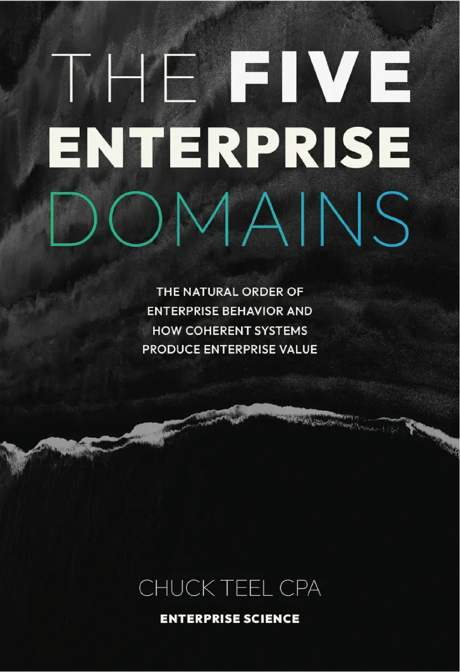 Teel-five-enterprise-domains-book
