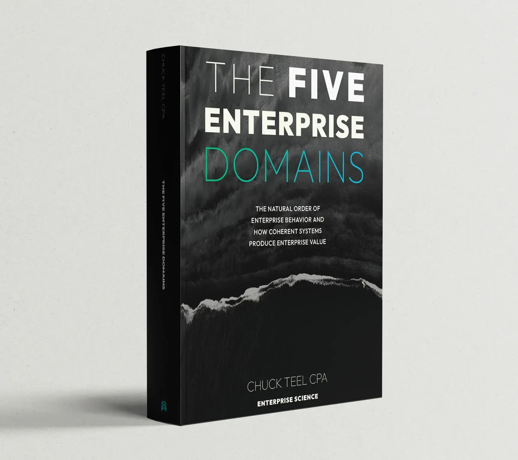 Teel-the-five-enterprise-domains-book