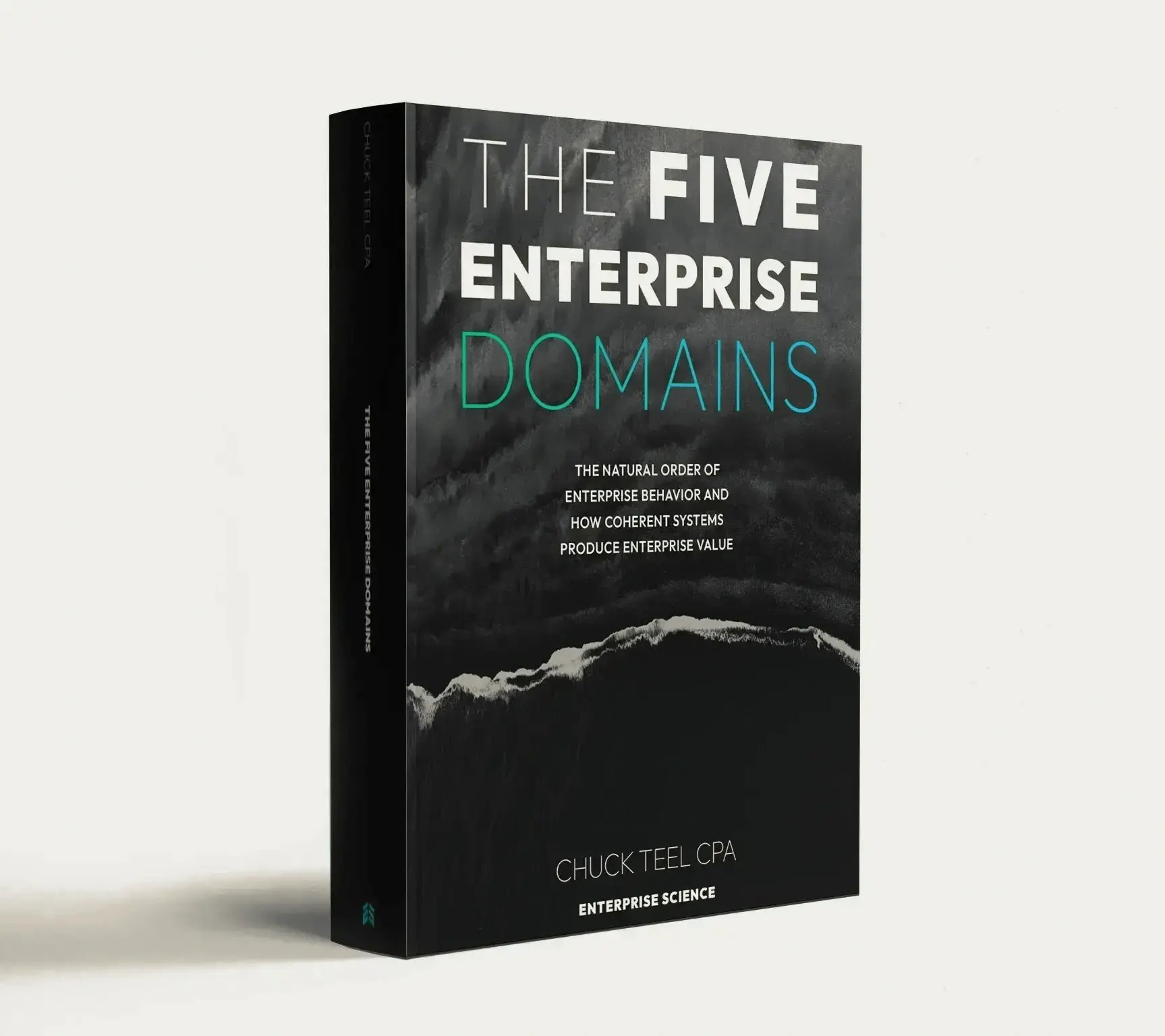 the-five-enterprise-domains